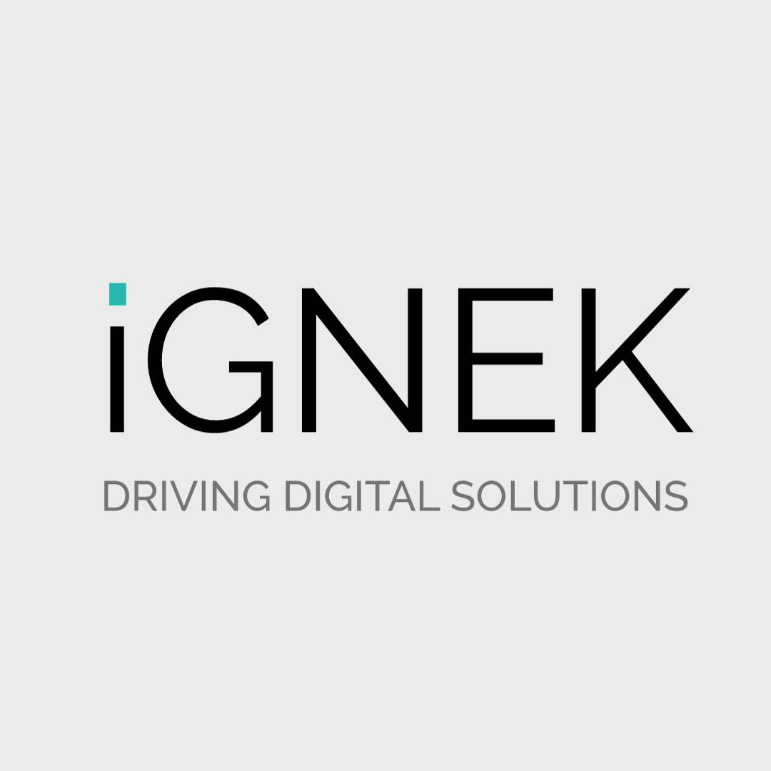 Ignek Infotech